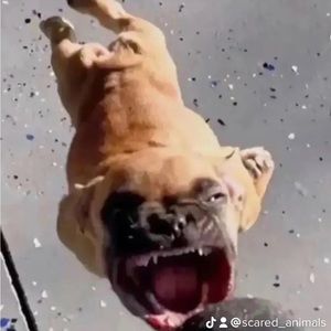 Meet your Posher, Terrance